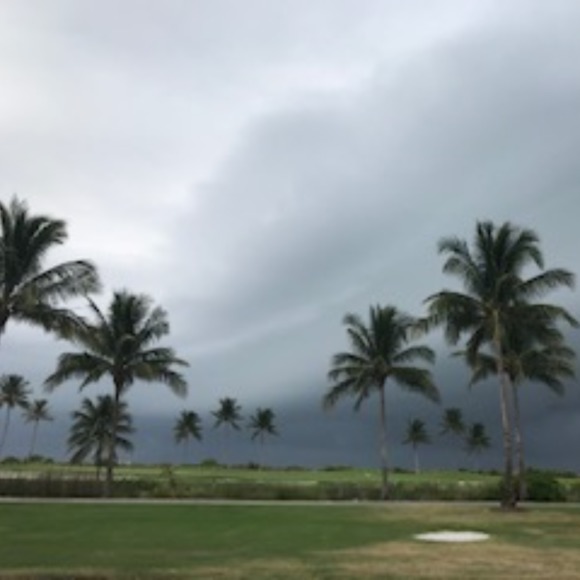 Meet your Posher, - Picture 1 of 1